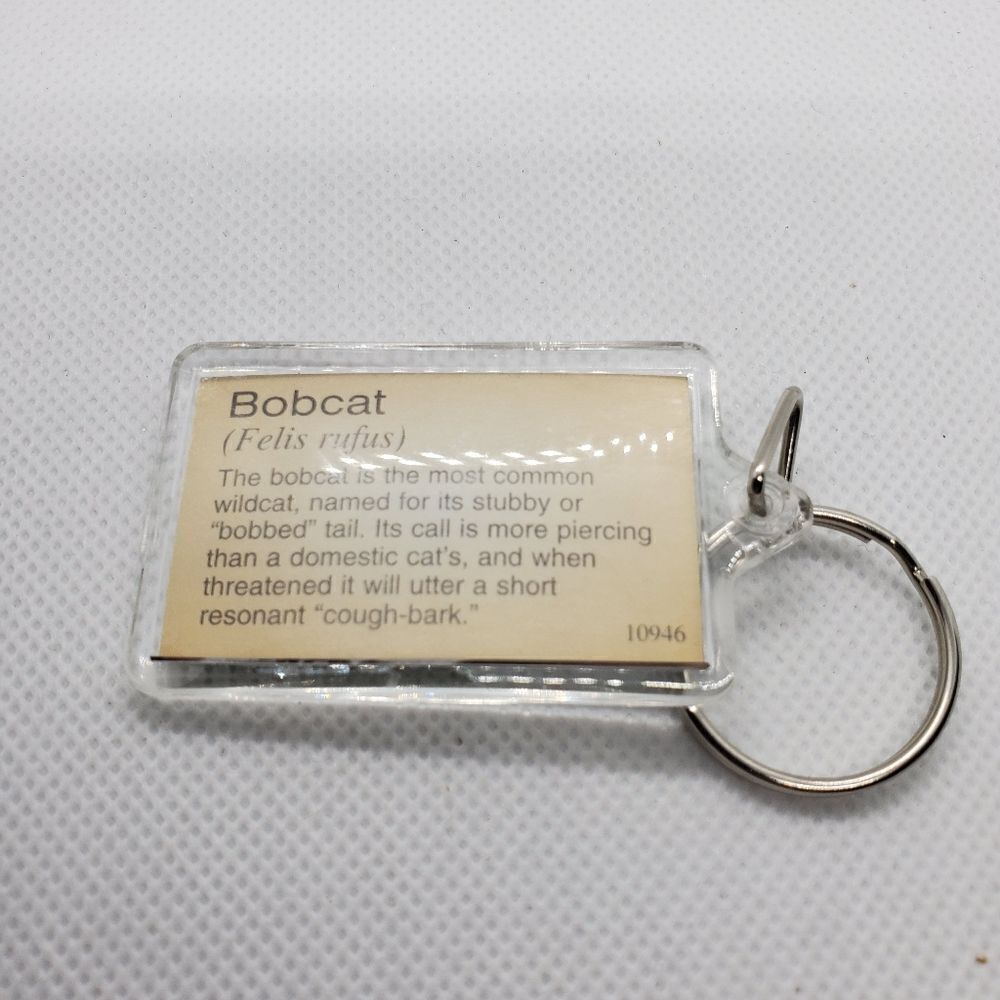 Bobcat Kitten Keychain - Picture 2 of 2